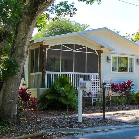 Luxurious Bohemian Bungalow In Lincolnville - Mins From Downtown! St. Augustine Bagian luar foto